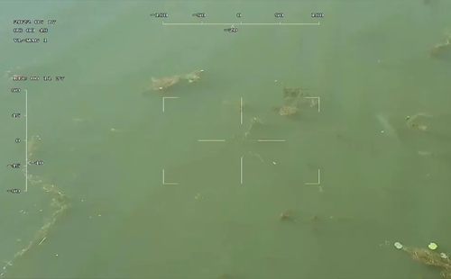 水域環境動態監測